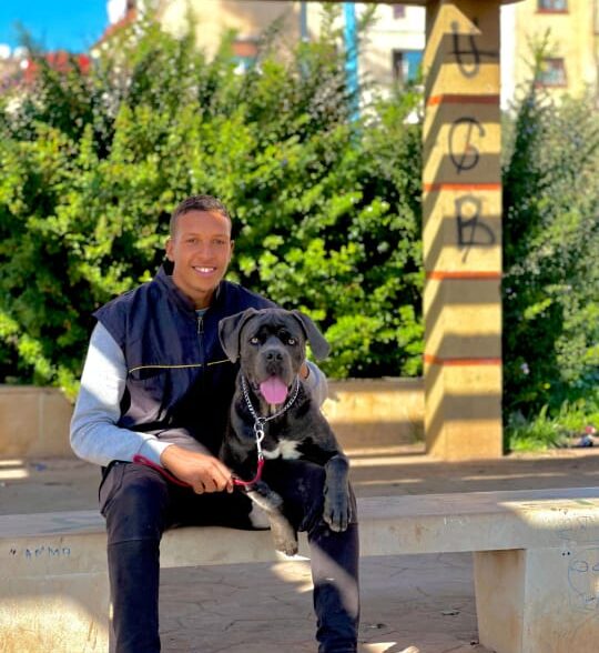 Éducation dog