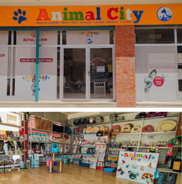 Animal City Agadir