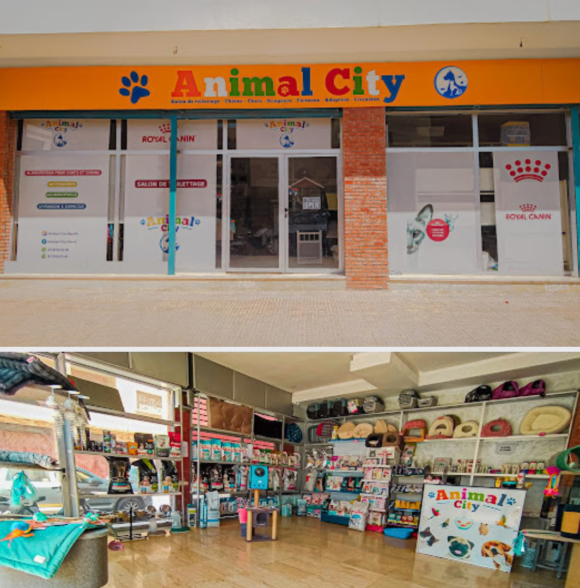 Animal City Agadir
