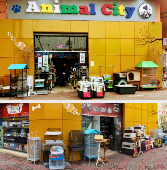 Animal City Marrakech