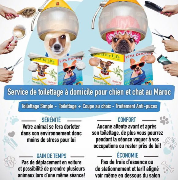 Dog Grooming