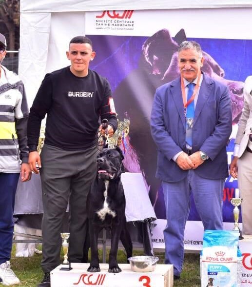 Marrakech canine k-9