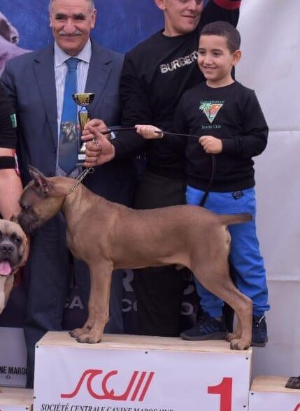 Marrakech canine k-9