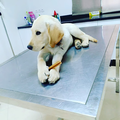 Clinique vétérinaire Kénitra