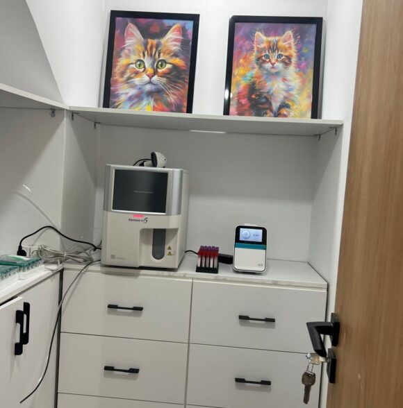 Clinique vétérinaire soleil
