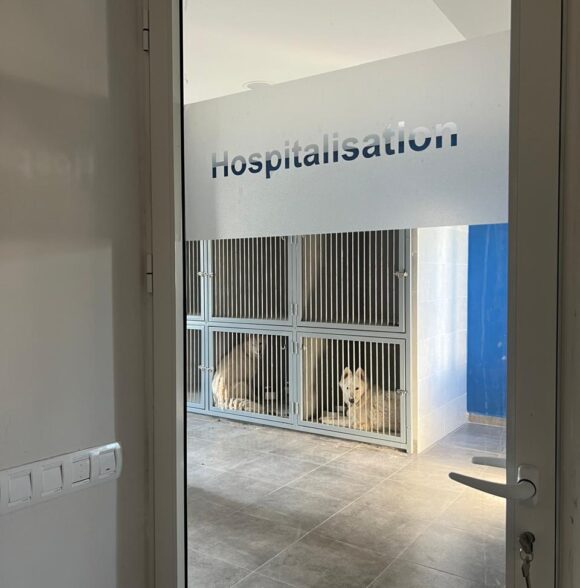 Clinique vétérinaire soleil