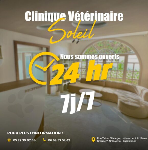 Clinique vétérinaire soleil