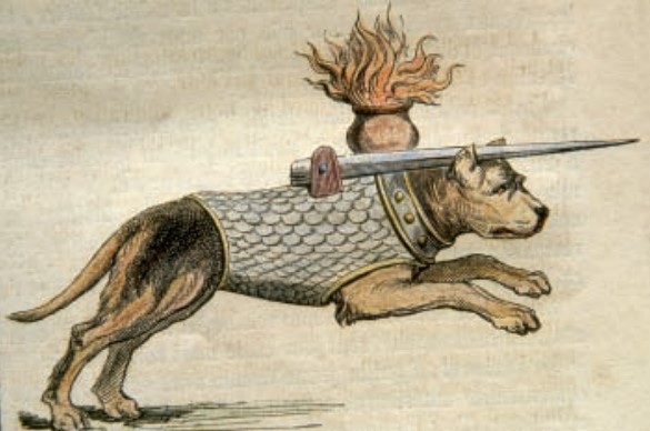 Le chien dans les civilisations anciennes