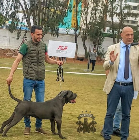Omnicorso Kennel