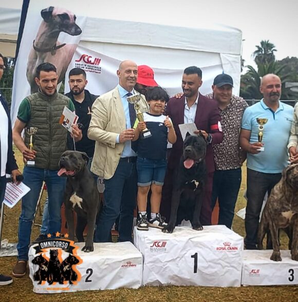 Omnicorso Kennel