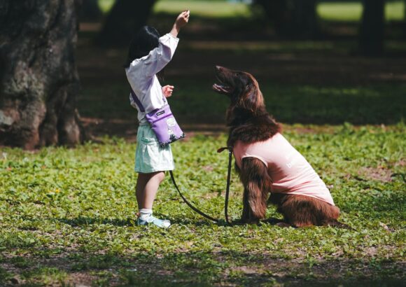 5 Endroits Dog-Friendly à Visiter