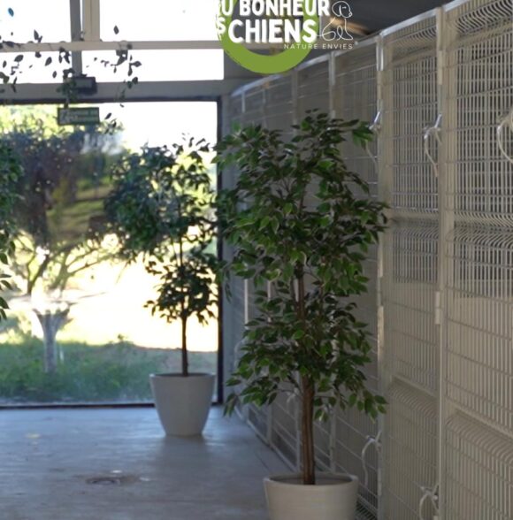 Nature Envies - Au Bonheur des Chiens