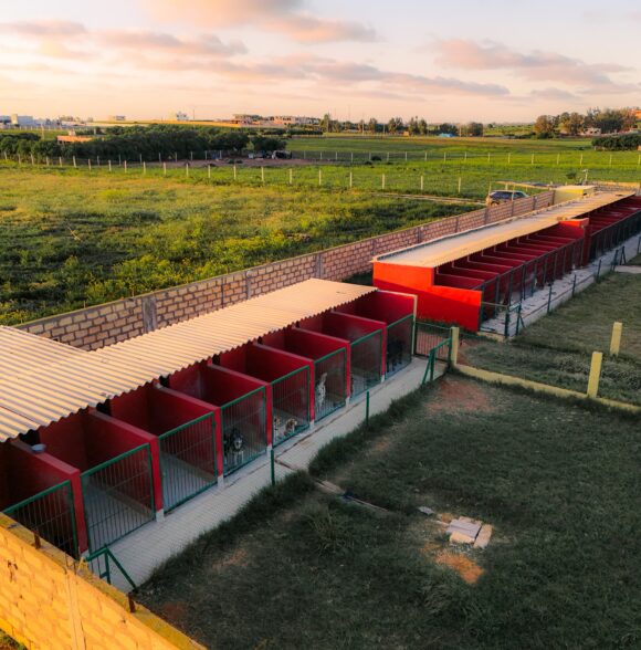 Domaine Misti – HÔTEL POUR CHIENS