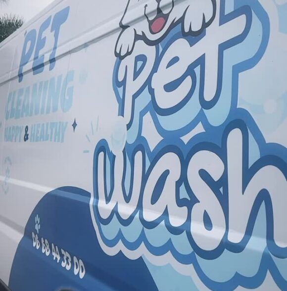 Pet Wash