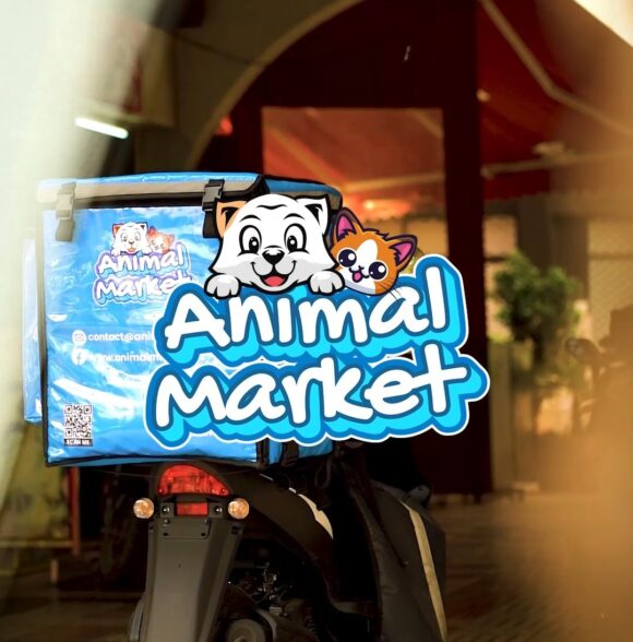 Animal Market