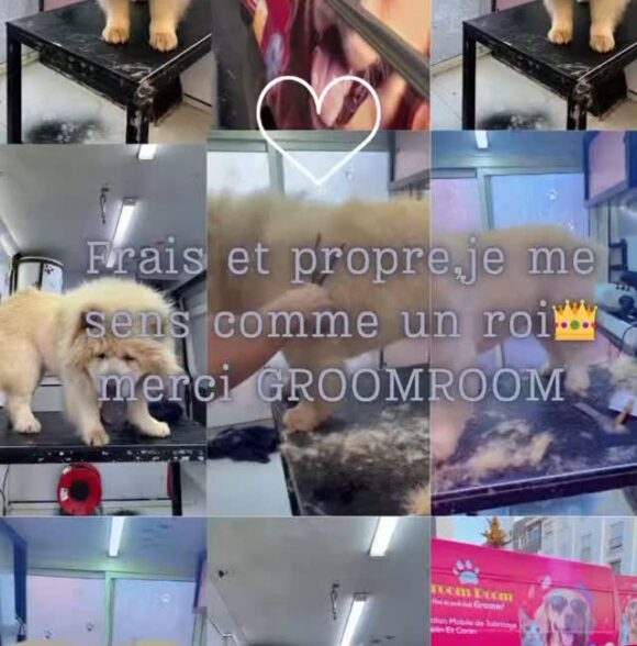 GroomRoom