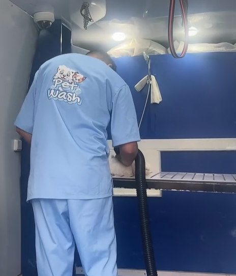 Pet Wash