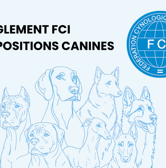 Règlement FCI: comment réussir votre 1ère exposition canine