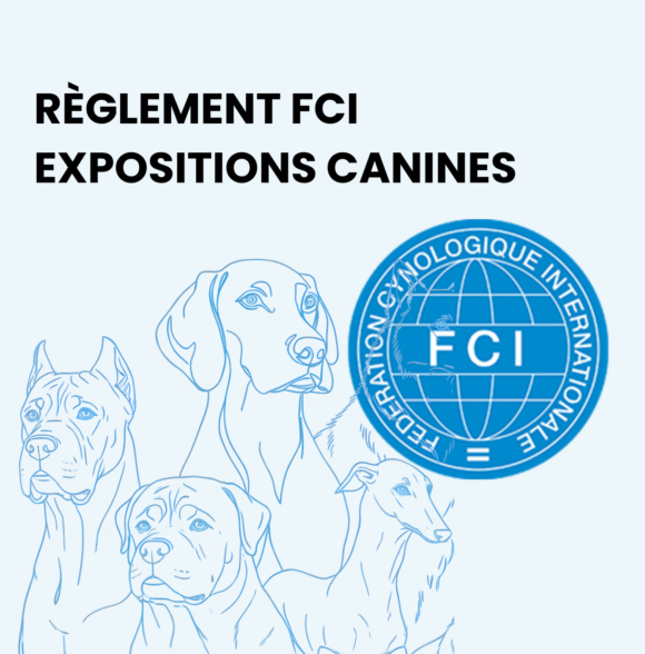 Tout comprendre pour réussir votre première exposition canine