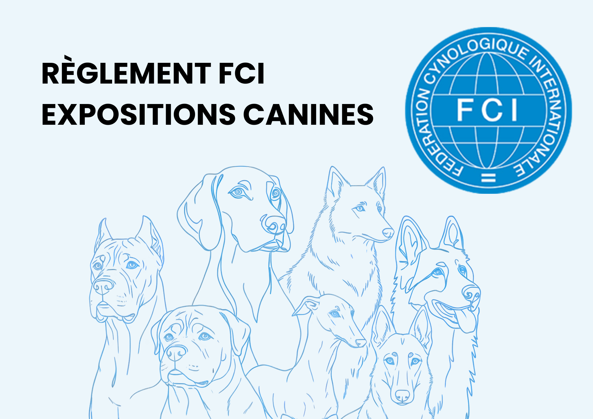 Règlement FCI: comment réussir votre 1ère exposition canine
