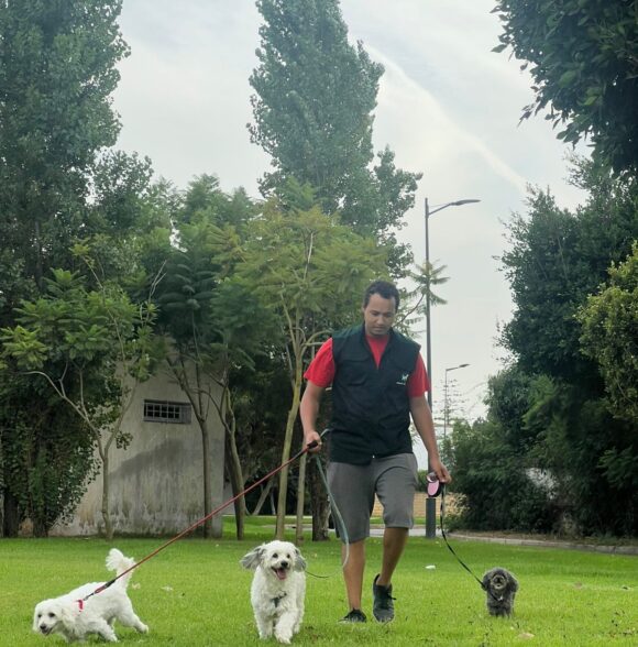 Woof Wander
