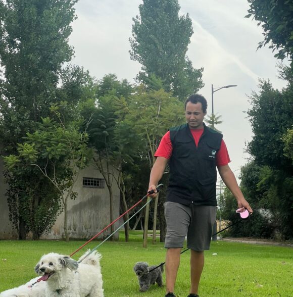 Woof Wander