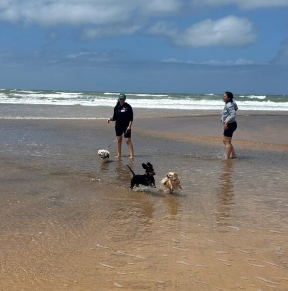 Nrk_dogwalker