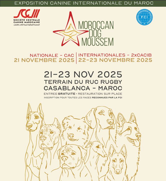 Récap: DOG MOUSSEM, Exposition canine nationale et international