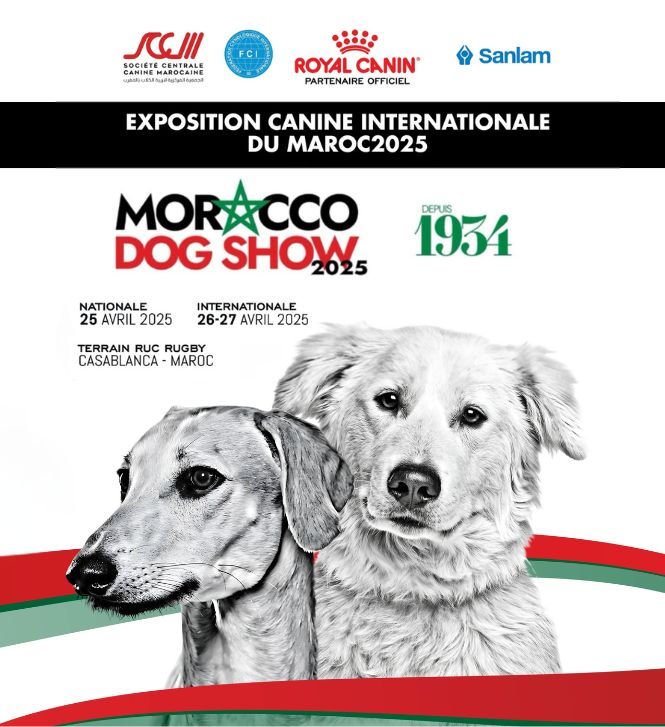 Récap: Morocco Dog Show , exposition canine nationale et internationale