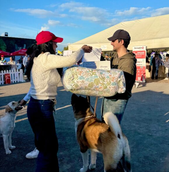 Récap: OUED YKEM Novembre 2025 – CHIENS & ÉQUITATION