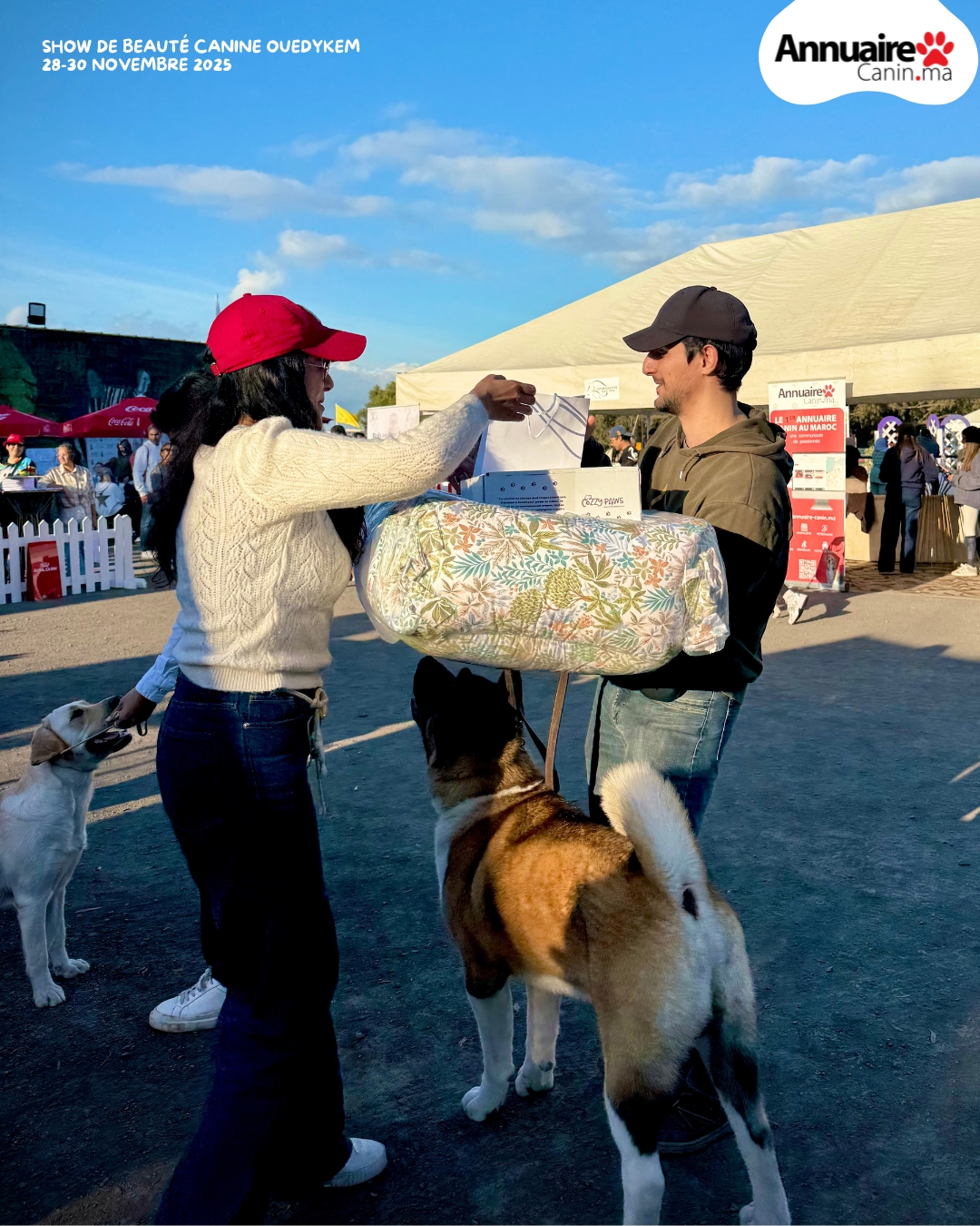 Récap: OUED YKEM Novembre 2025 – CHIENS & ÉQUITATION