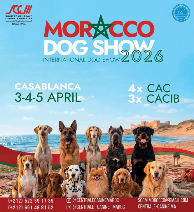 Morocco Dog Show 2026 Exposition canine nationale et international