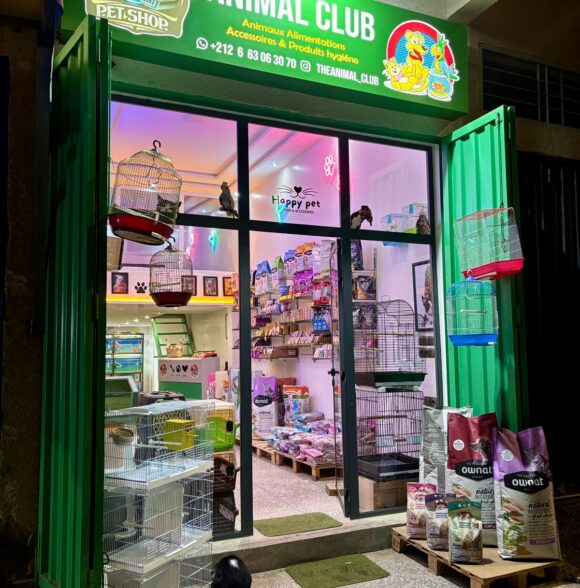 ANIMAL CLUB
