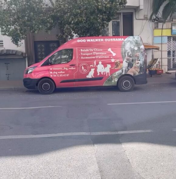 Oussama dog walker