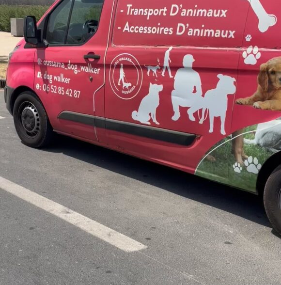 Oussama dog walker