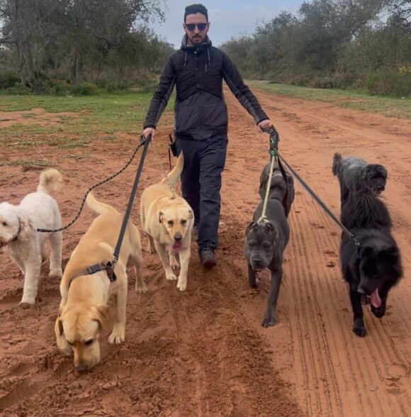 Oussama dog walker