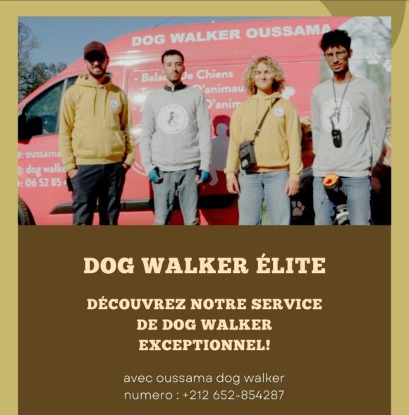 Oussama dog walker