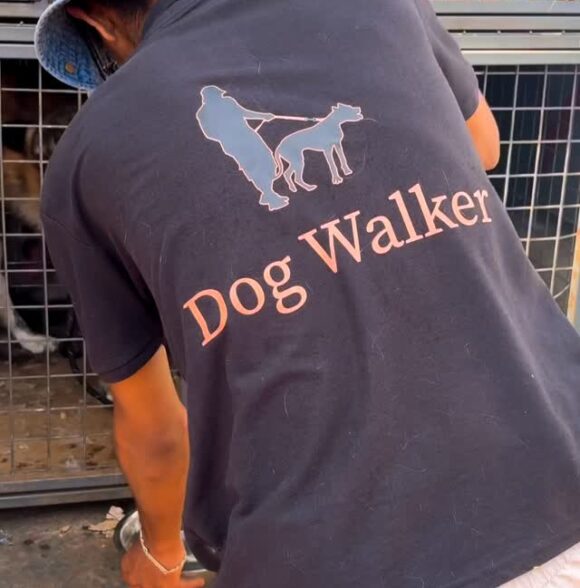 Oussama dog walker