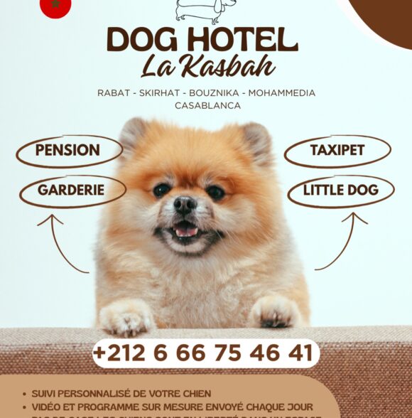 Dog Hotel Kasbah
