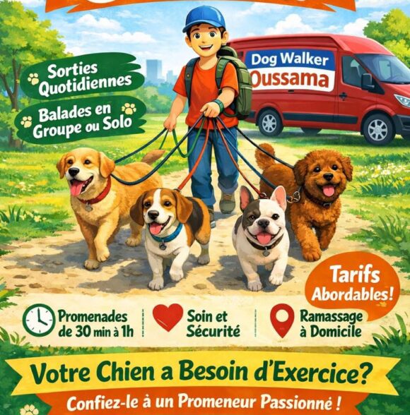 Oussama dog walker