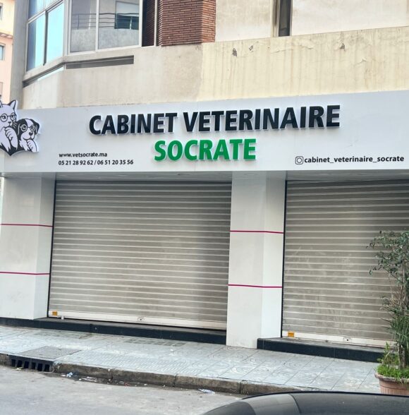 Cabinet vétérinaire socrate