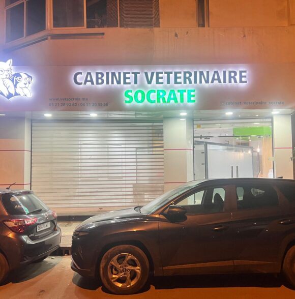 Cabinet vétérinaire socrate