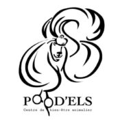 Pood’els